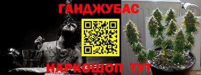 PSILOCYBIN Бугуруслан