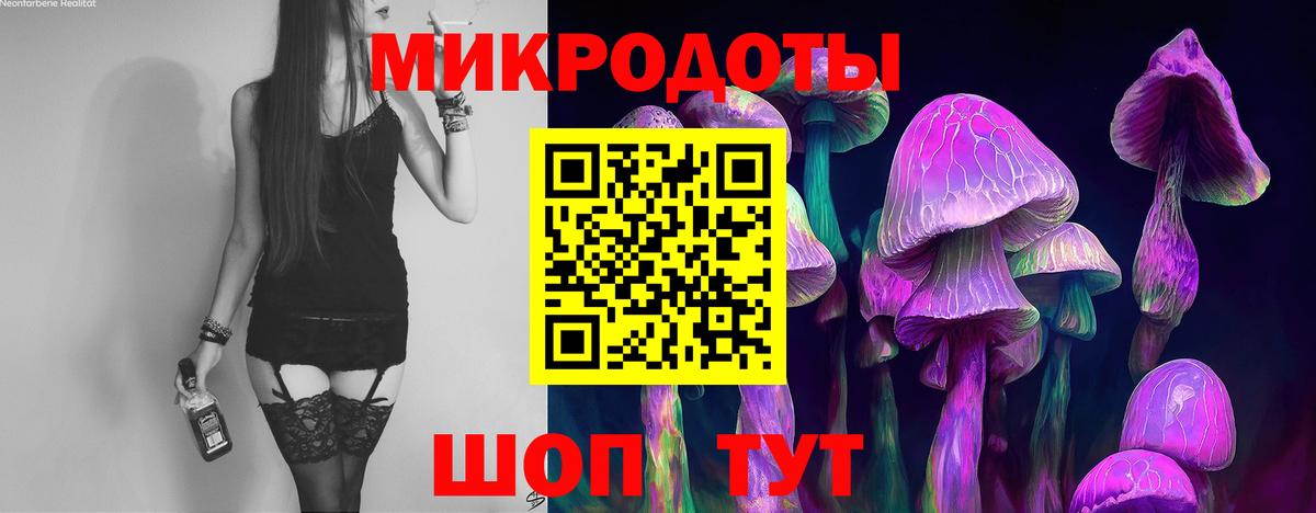 Псилоцибиновые грибы мицелий  Вход с VPN  Серпухов  Псилоцибиновые грибы Psilocybe 